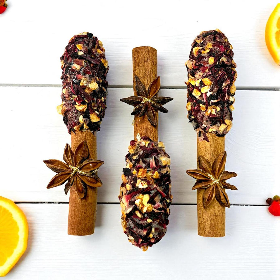 Organic Hoilday Smudgesicle ⎮ Ritual Cleansing Wand